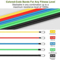 FlexBand™ 11-Piece Resistance Workout System